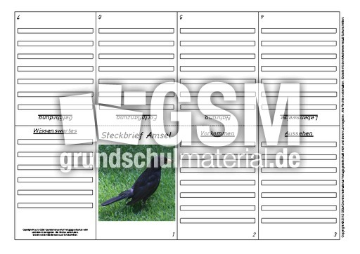 Faltbuch-Steckbrief-Amsel-4.pdf